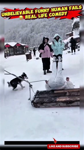 Unbelievable Funny Human Fails 😂 | Real Life Comedy #funnyclips #hilariousfails #interestingclips