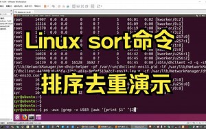 Linux sort命令排序去重演示