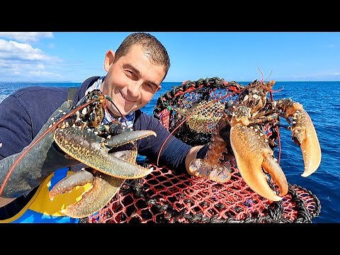 First Haul of The FishLocker Lobster Pots 2025 | The Fish Locker
