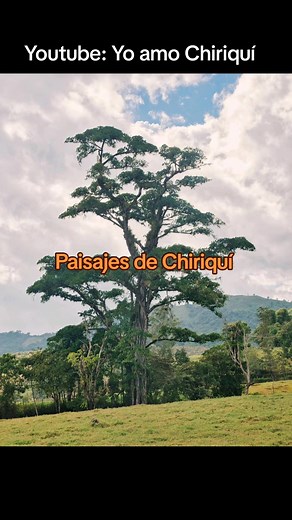 Cuentas recomendadas