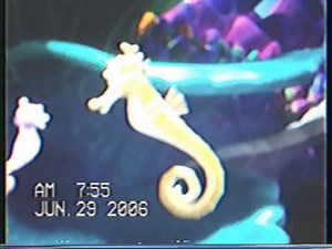 Splash And Bubbles (2005)/20th Century Fox (1994/1981) 2006 VHS