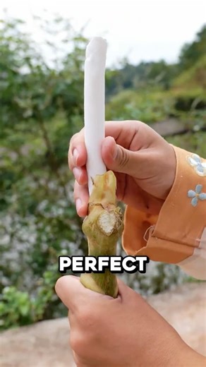 What The Strangest Plant Is Used For 🤯