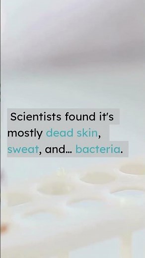 The secret life of belly button lint 🧶