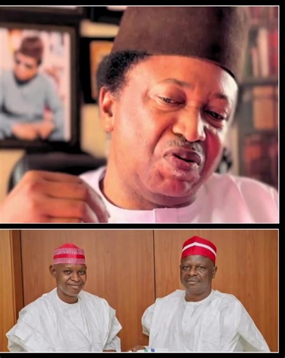 Kano Governor Abba Kabir has played a political game, no one will love him as much as Kwankwaso loved him - Senator Shehu Sani