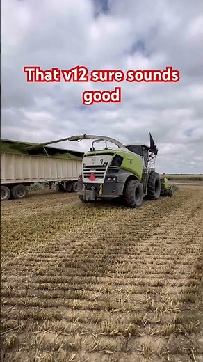 The sound of 24 knives chopping wheat 😎 #silage #farming #forageharvester ‪@CLAAS_America‬
