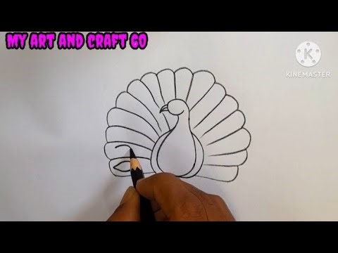 Easy Peacock Drawing Step by Step 🦚 | Simple Art for Beginners