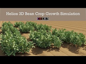 Helios 3D Simulation of Bean Crop Growth using the Plant Architecture Plug-in