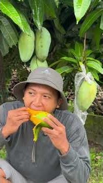 Rekomendasi tanaman buah yg wajib di tanam di pekarangan rumah