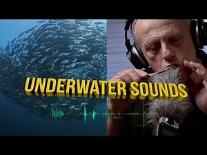 Tutorial: Underwater Sound & Audio using ZOOM - Liquid Motion® Underwater Film, Photo & Video School