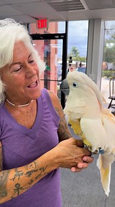 Today was one of those beautiful, bittersweet days. Saying goodbye to Chloe wasn’t easy, but our hearts are so full knowing she’s headed into a home where she will be deeply loved. To Chloe’s adopter — thank you for choosing her, for opening your heart, and for giving her the life she deserves. This is exactly why we do what we do. Live happy, sweet Chloe. You will always be part of our flock | Parrot Outreach Society