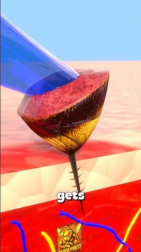 How Honeybees Survive After Stinging