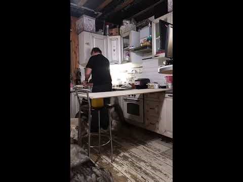 Прямой эфир с 10 #хаски