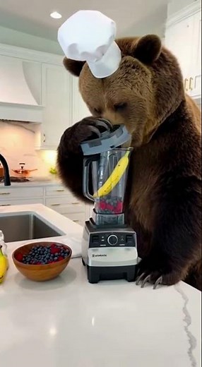 Bear vs Blender: A Kitchen Nightmare #funnyanimals #fail