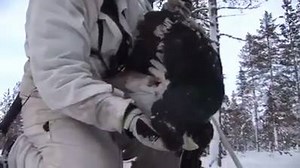 Big bird | I Love Hunting