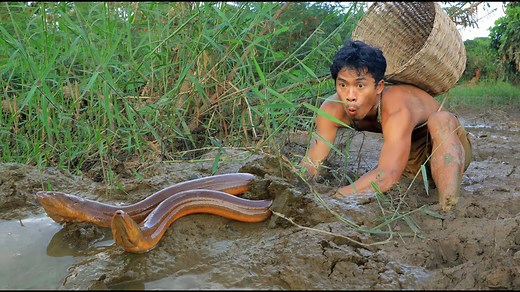 5.4K views · 60 reactions | Dig the Mud for Cacth eels , cooking eels | Primitive HD | Facebook