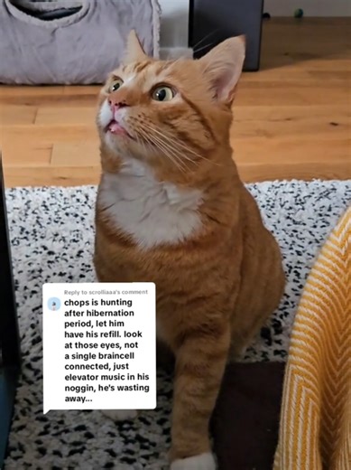 Elevator Music Replaying in a Comedic Situation