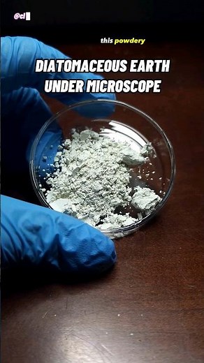 Diatomaceous Earth Under Microscope (Fossilized Diatoms)