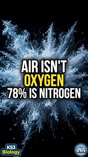 Air Isn't Mostly Oxygen — Here's What It Actually Is #shorts