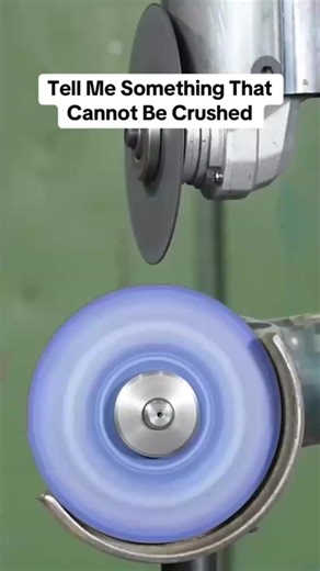 Understanding Gumamela Care and Growth