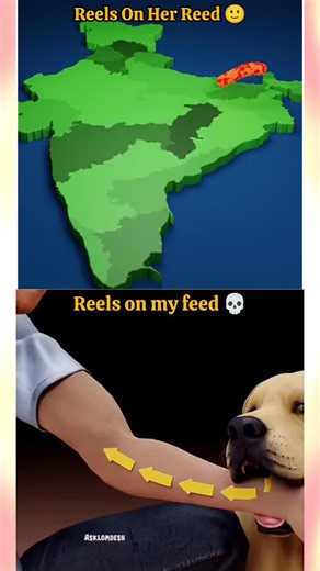 𝑺𝒊𝒅𝒅𝒉𝒂𝒓𝒕𝒉💀 on Instagram: "💧💀 Paani se darr lag raha hai? Toh Maut pakki hai Don't ignore this. ⚠️ . . . ​#rabies #sciencefacts #scary #hydrophobia #dogbite"