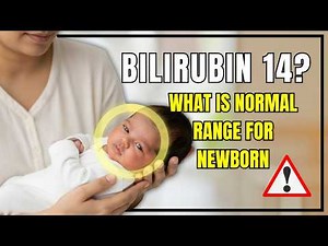 Bilirubin 14? What is the Bilirubin Normal Range for Newborn? (Guide to Neonatal Jaundice)
