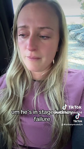 Understanding Moral Distress and Moral Injury in Veterinary Medicine