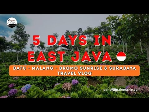 5 Days in East Java | Batu Malang, Bromo Sunrise & Surabaya Travel Vlog