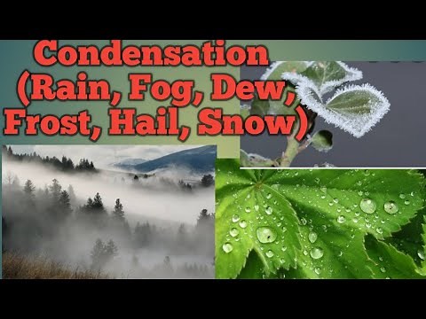 Condensation ( Rain, Fog, Dew, Frost, Hail, Snow)