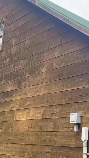 Aging gracefully means finding beauty in each season of life. www.LogHomeCareOnline.com 800-932-1275 | Fans of Log Home Care