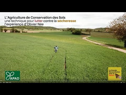 L'Agriculture de Conservation des Sols ou comment pour lutter contre la sécheresse Témoignage O. Née