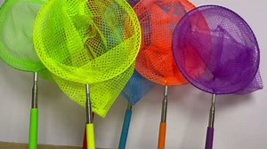 Amazon.com: Kids Telescopic Butterfly Nets, 6 Pack Colorful Insect Net Perfect Outdoor Tools for Catching Bugs Fish Insect Ladybird, Extendable 34 Inches and Anti Slip Grip : Toys & Games