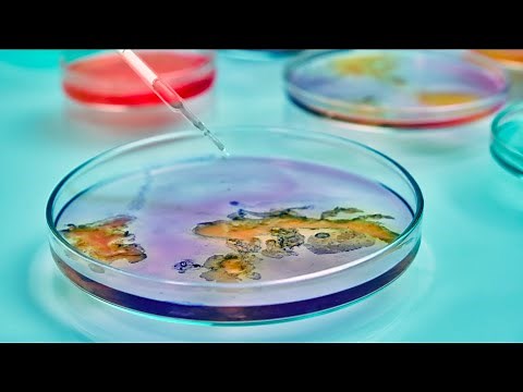 The Birth of Microbiology