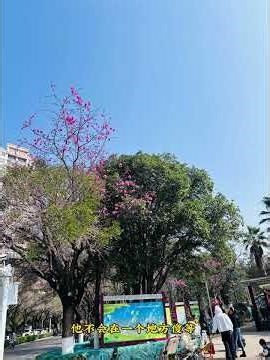 Masterful Hair Transforms: Unleash Your Inner Artisan