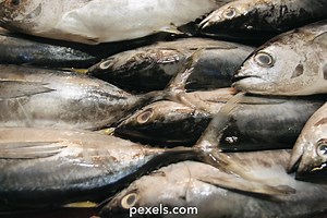 Product Display Videos, Download The BEST Free 4k Stock Video Footage & Product Display HD Video Clips