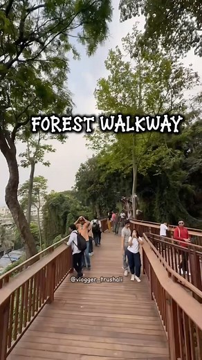 344K views · 20K reactions | Newly open forest walkway at Malabar...