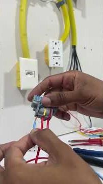 Como usar conector tipo Wago com 3 entradas e 9 saídas