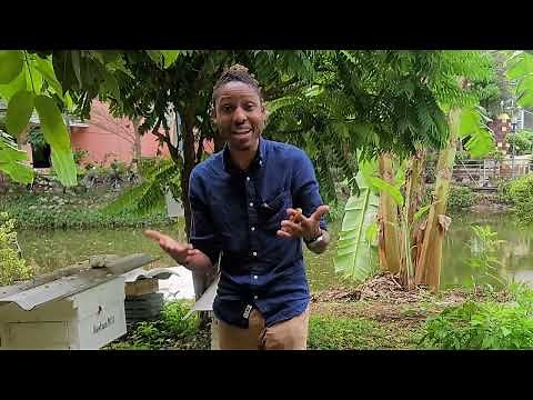 Creativity break: how have you used creative communication to solve a problem? | Khan Academy