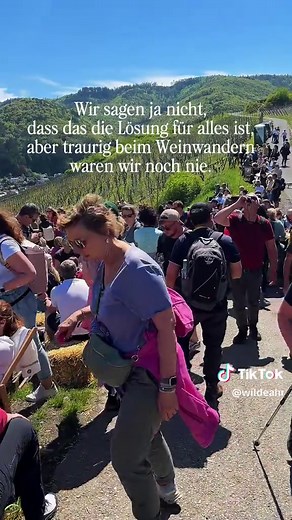 Weinfrühling auf dem Rotweinwanderweg 😮‍💨 Ende April geht’s wieder los 🥳 #wildeahr #ahrtal #ahrwein #weinfrühling