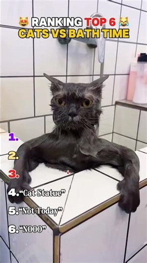 Cats vs Bath Time (Awkward Edition) 😂 #cat #funnycats #funnyvideo #foryou