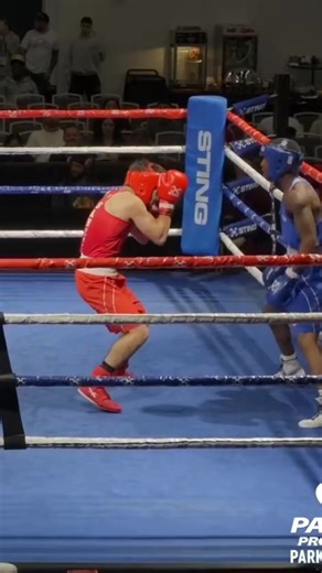 Elite Male 132 International Boxing Champion