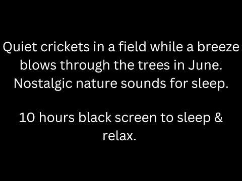 Quiet crickets in a field, while a breeze blows, black screen 10 hour cricket sounds sleep & relax