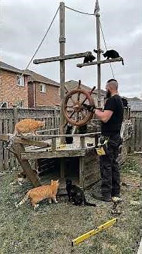 ✅ I Built A Pirate Ship Playground for My Backyard Cats! 🏴‍☠️