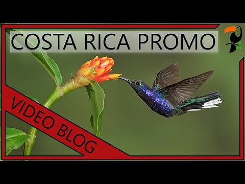 Bird Photography Workshop - Costa Rica (With Wildlife Photographer Glenn Bartley)