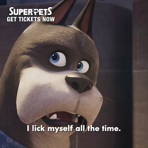 10/10 pets agree. Watch DC League of Super-Pets in cinemas now. Get tickets for #DCSuperPets here: www.dcsuperpetsmovie.com.ph | Warner Bros. Pictures