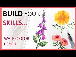 Build Your Watercolor Pencil Skills with 3 Easy Flowers | Beginner Tutorial