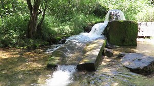 Gray Spring near Yellville, Arkansas
