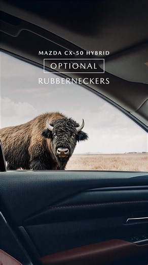 The Mazda CX-50 Hybrid with e-AWD. Who knows what more you could experience? There's more to a Mazda | Mazda USA