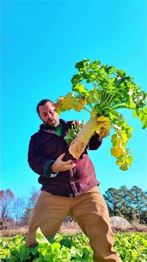 This Isn’t for Eating!