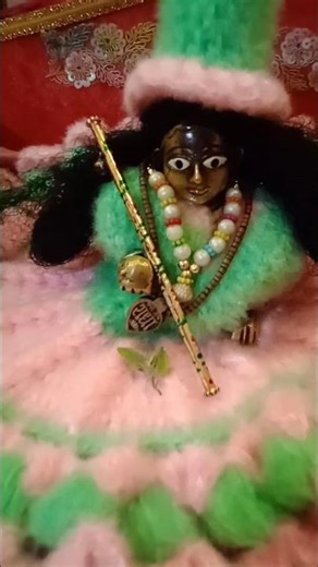 jini vari Main tujhe dekhun tujhe Meri Umar lag jaaye