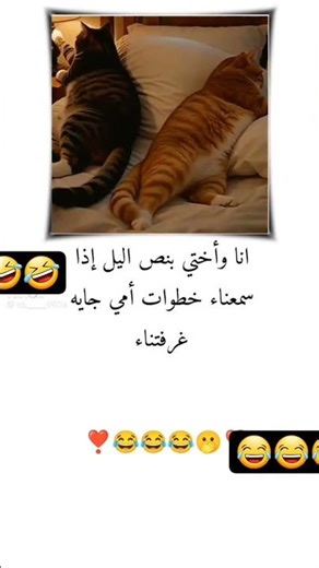 ٥ أبريل ٢٠٢٦